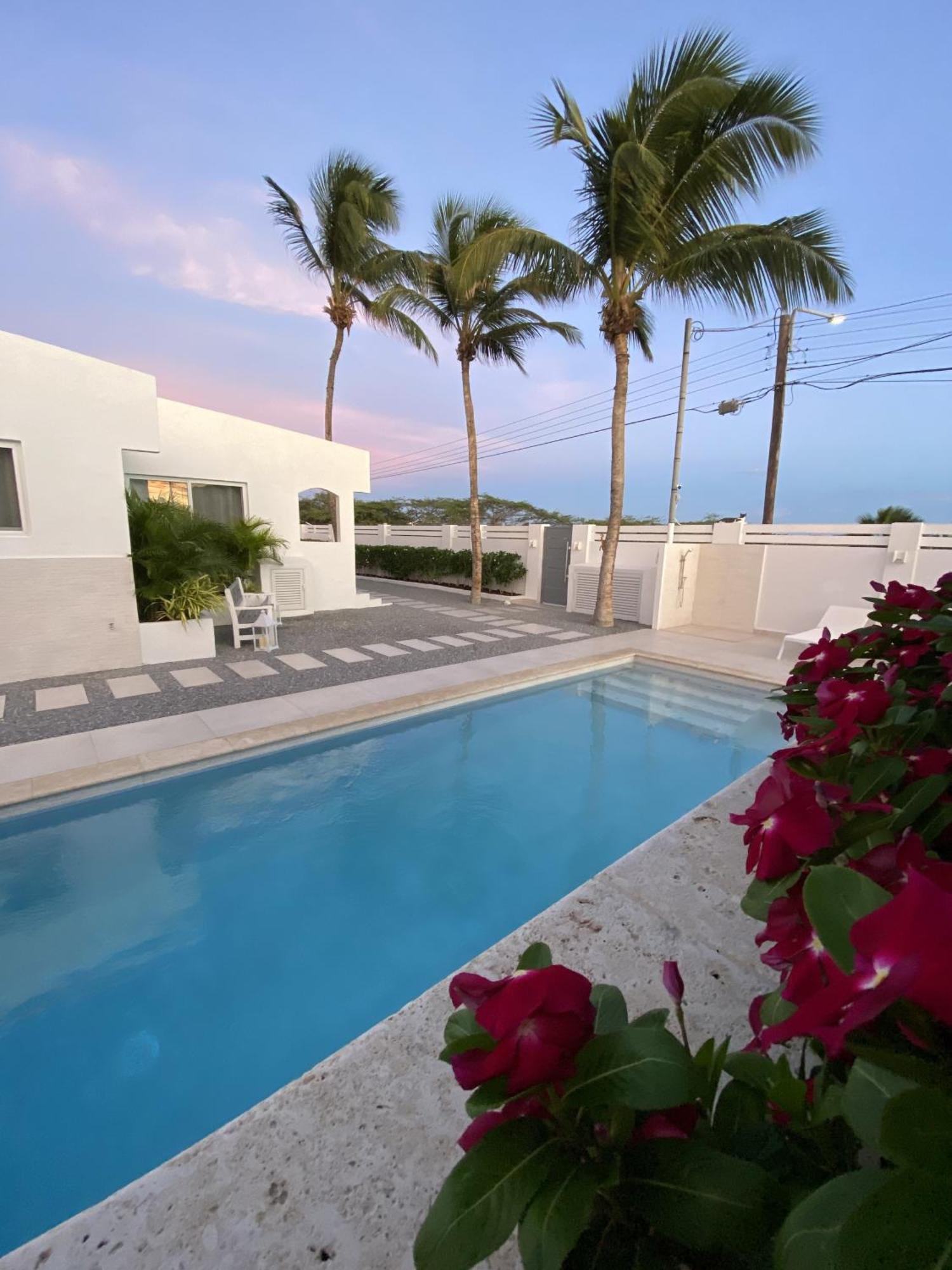Movida Inn Aruba Палм Бийч Стая снимка
