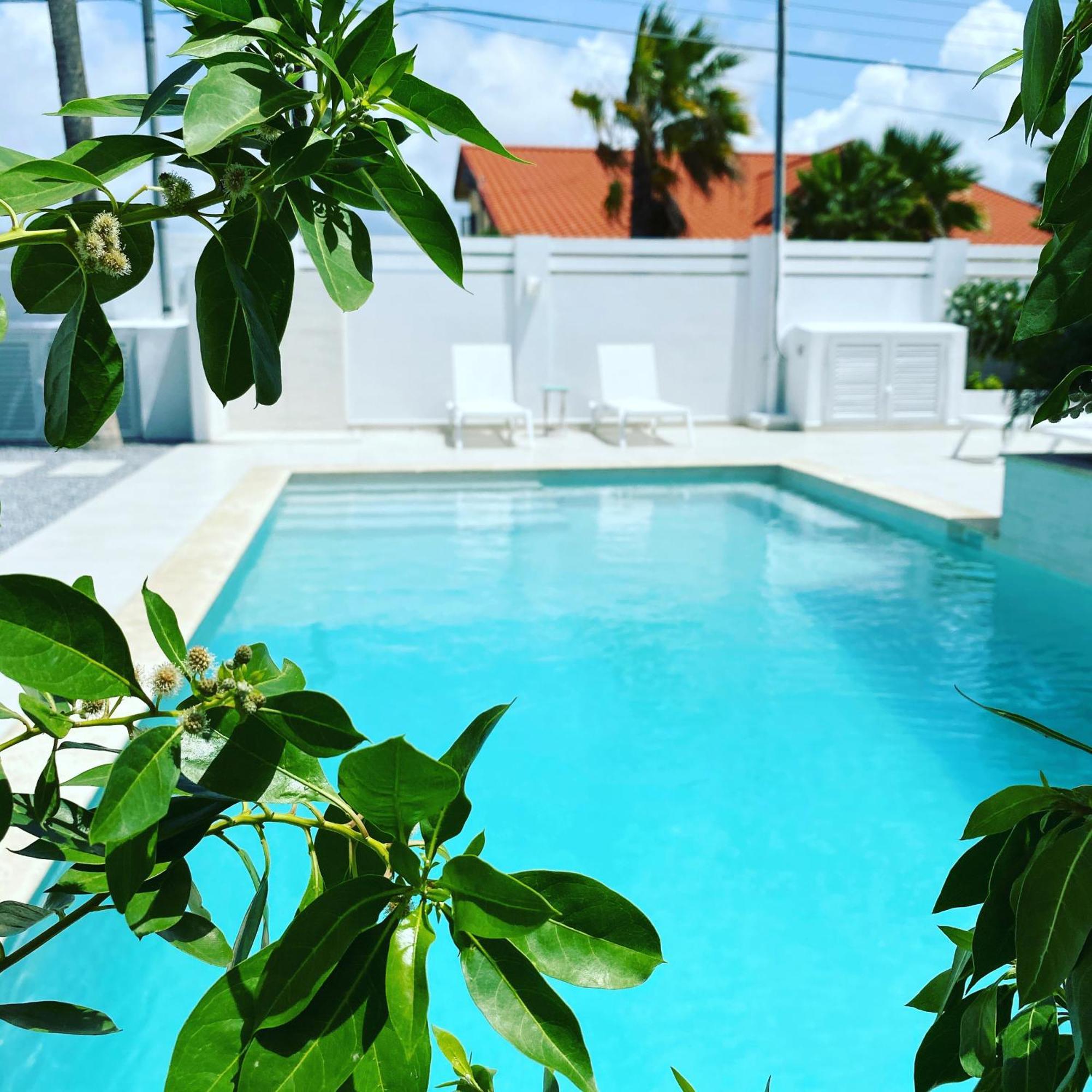 Movida Inn Aruba Палм Бийч Стая снимка