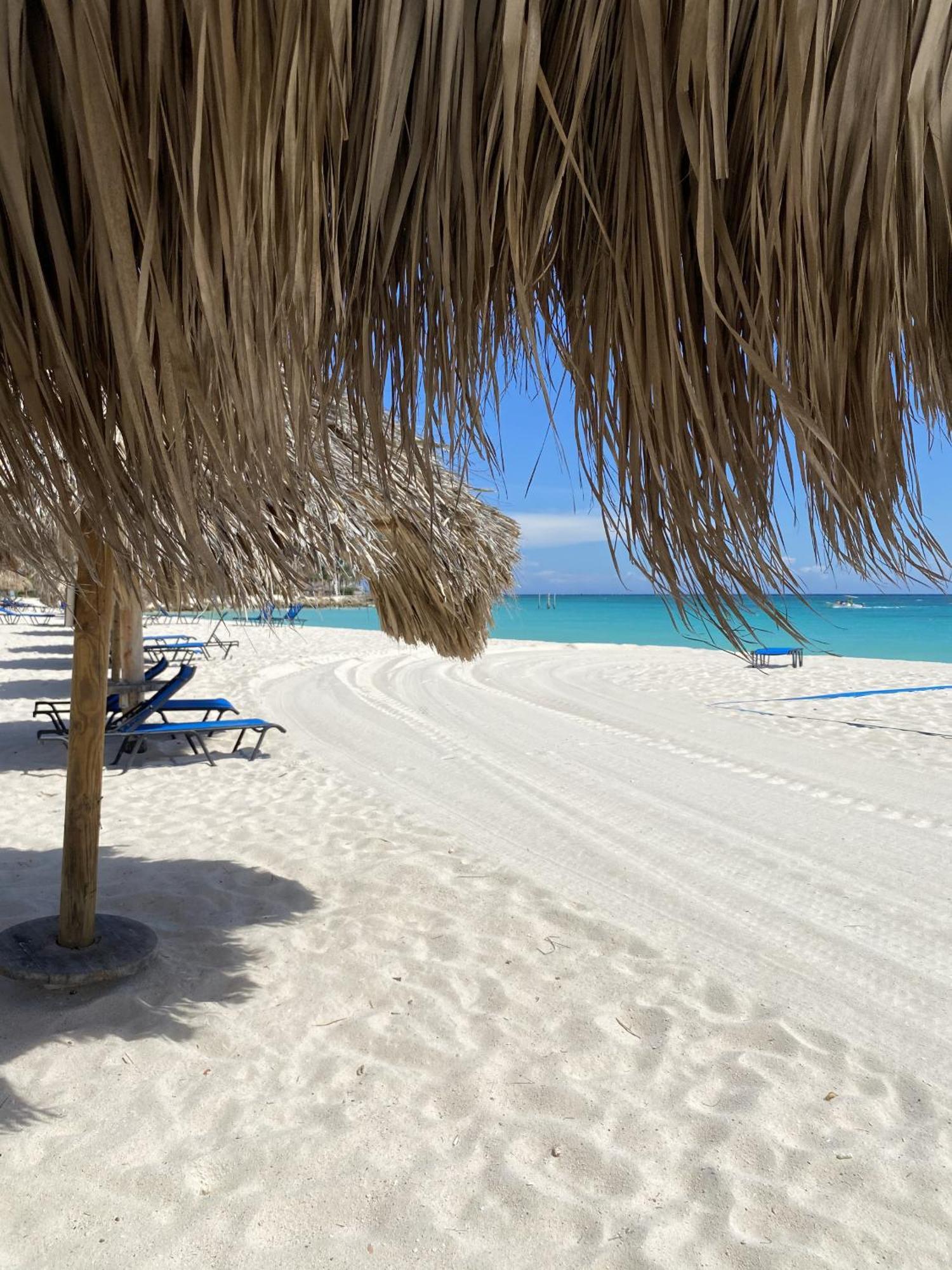 Movida Inn Aruba Палм Бийч Стая снимка