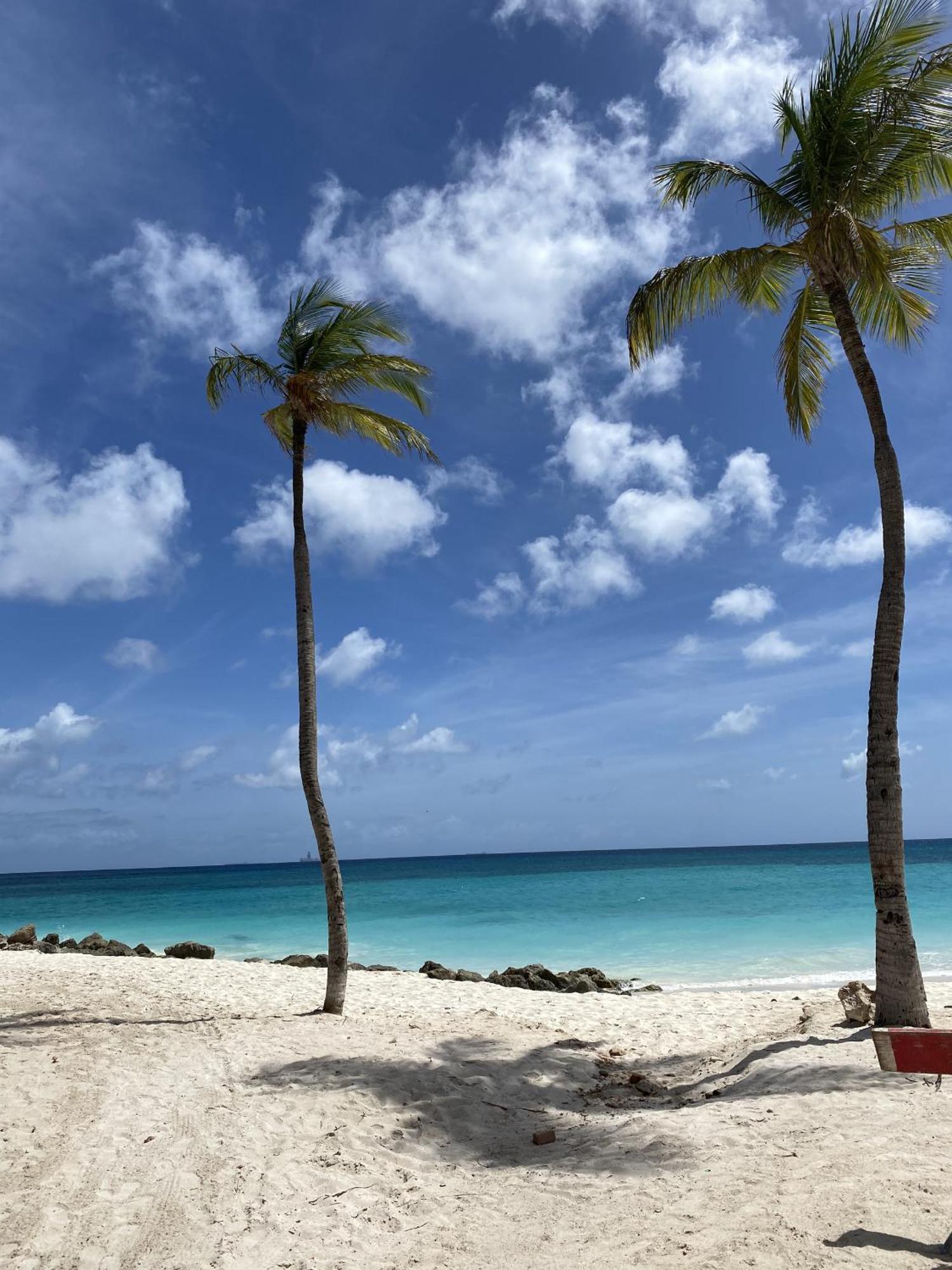 Movida Inn Aruba Палм Бийч Стая снимка