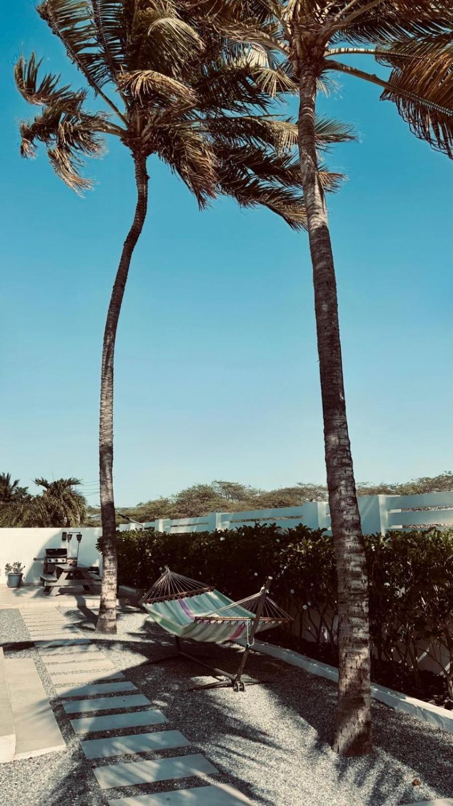 Movida Inn Aruba Палм Бийч Екстериор снимка